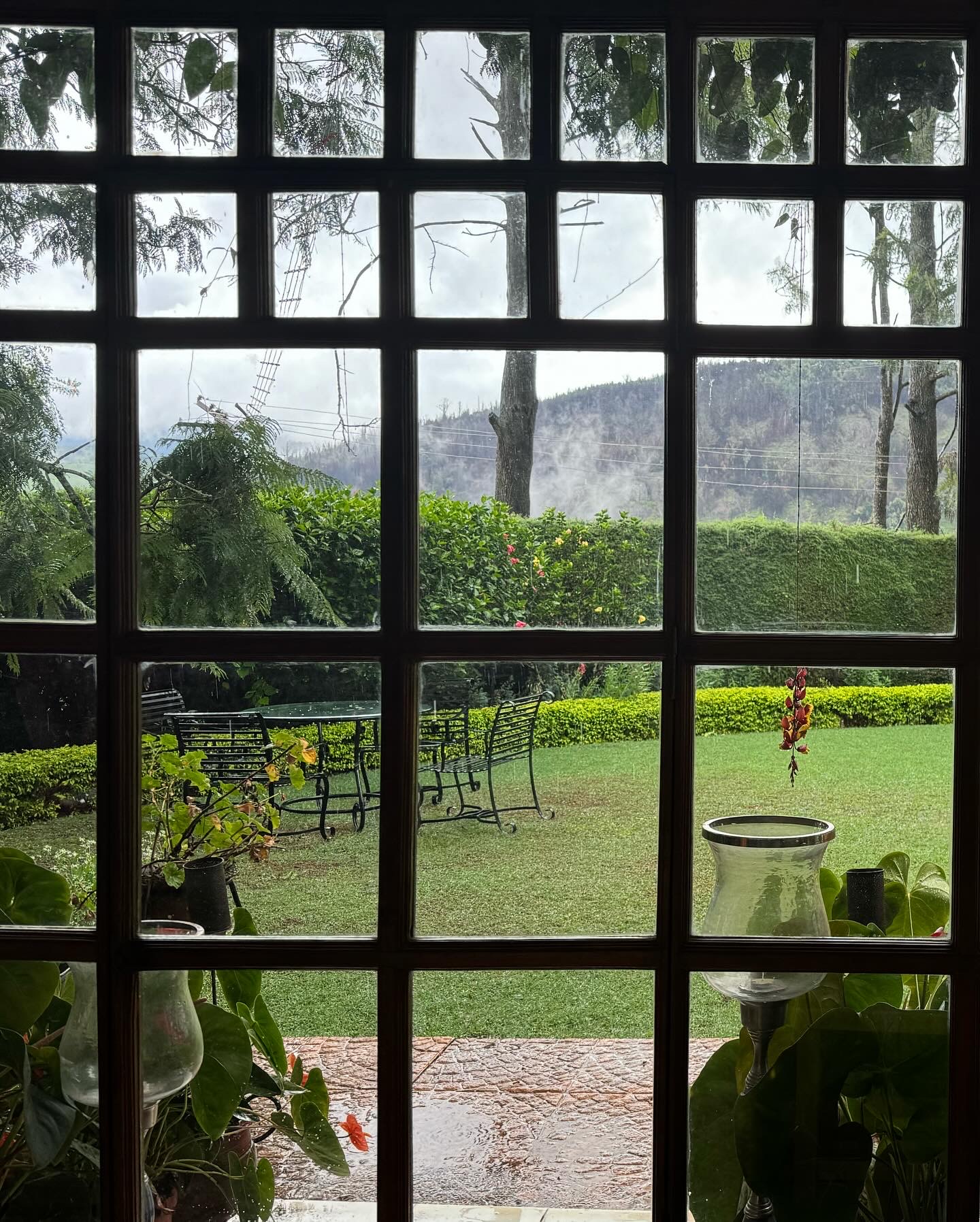 Founder's journey begins - view through traditional window overlooking tea gardens and misty mountains